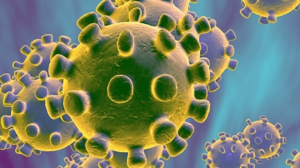 Research: Coronavirus persists in air during 30 minutes