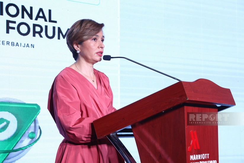 Председатель ASA: Для роста страхового рынка необходимы реформы