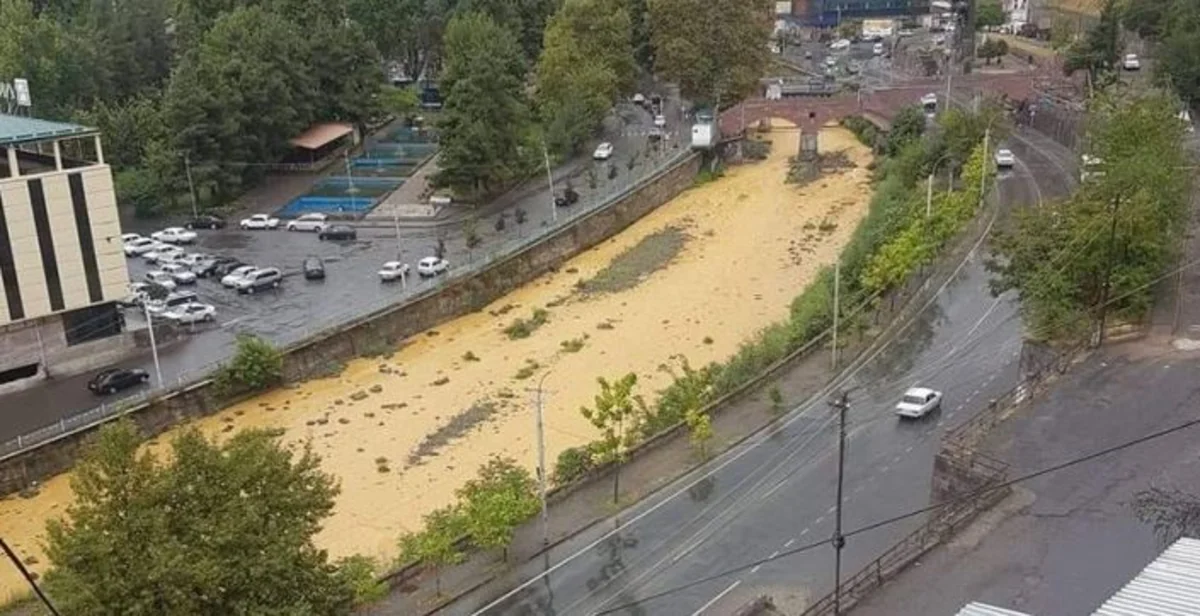Ermənistanın törətdiyi ekoloji fəlakət: Azərbaycan vətəndaş cəmiyyətinin təşəbbüsləri rezonans yaradıb - RƏY