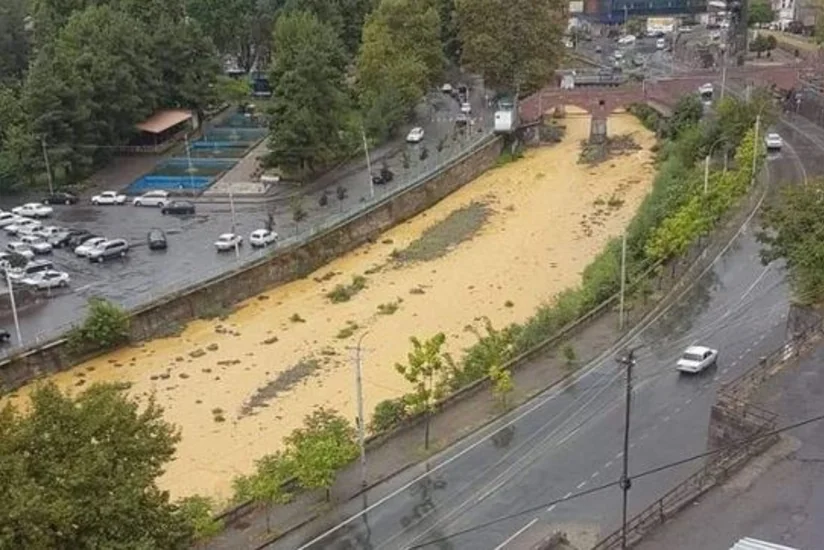 Ermənistanın törətdiyi ekoloji fəlakət: Azərbaycan vətəndaş cəmiyyətinin təşəbbüsləri rezonans yaradıb - RƏY