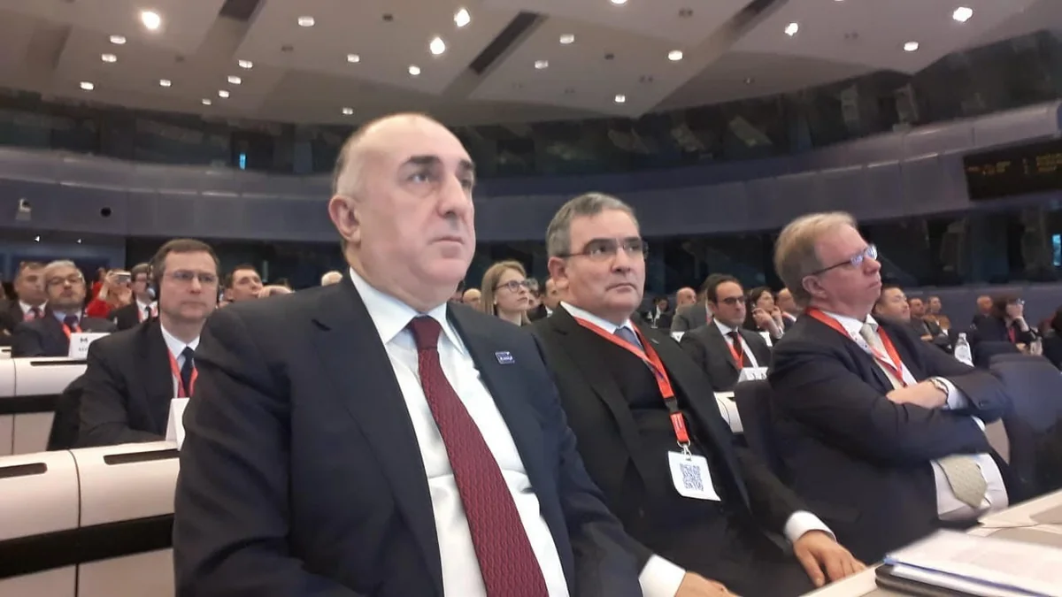 Brüsseldə beynəlxalq konfransda azərbaycanlı qaçqın və məcburi köçkünlərdən danışıldı - FOTO