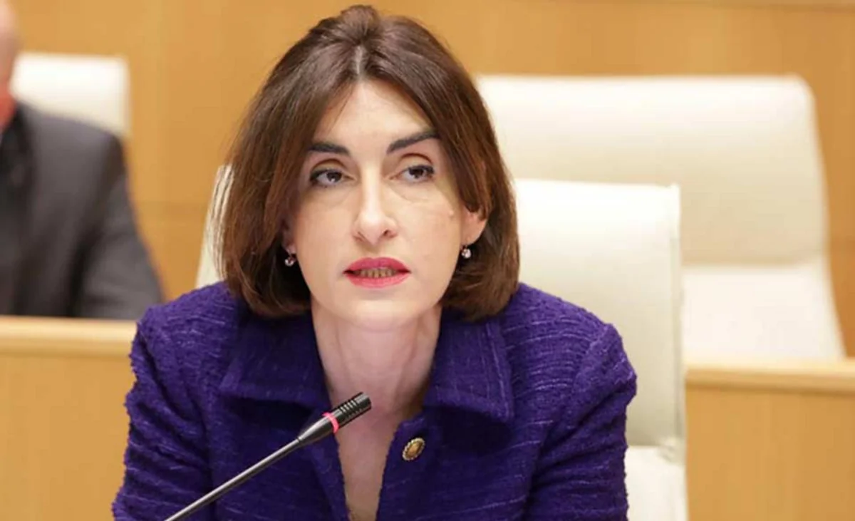 Gürcüstan XİN: Haqsız tənqidlər strateji tərəfdaşlarla münasibətlərə kölgə salır