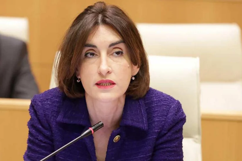 Gürcüstan XİN: Haqsız tənqidlər strateji tərəfdaşlarla münasibətlərə kölgə salır