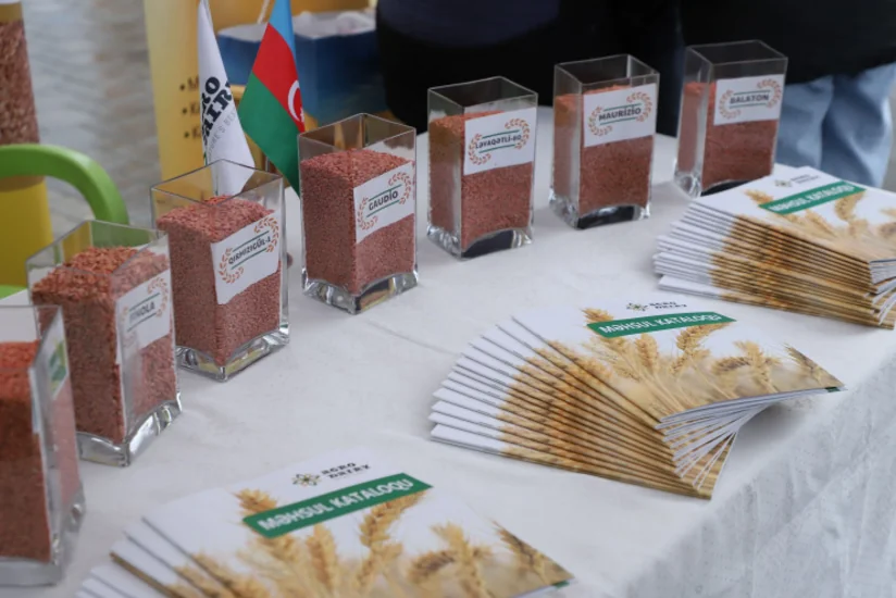 Siyəzəndə Aqrar Biznes Festivalı keçirilib