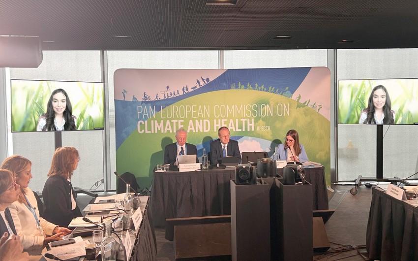 Leyla Aliyeva joins high-level WHO climate and health event via video conference