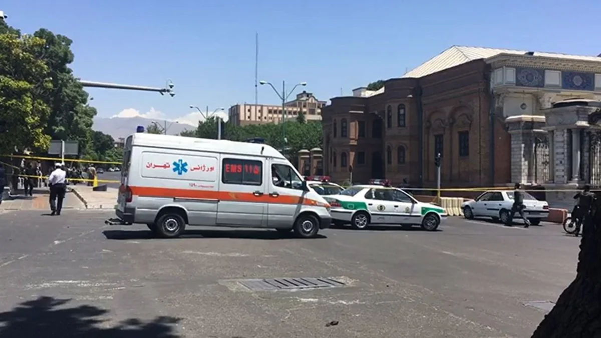 В Иране более 700 человек отравились грибами, девять погибли