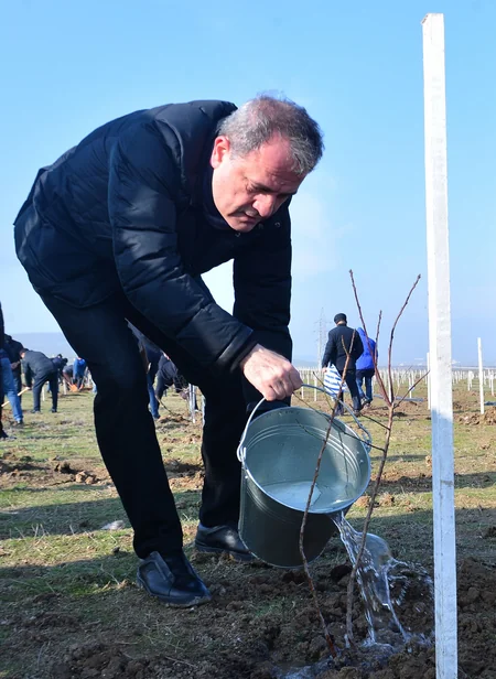 Təhsil Nazirliyi ağacəkmə aksiyası keçirib