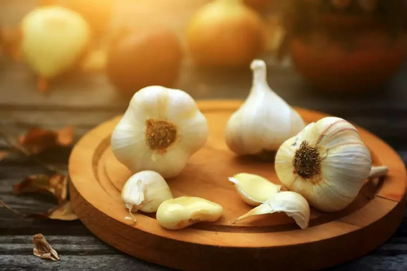Azerbaijan resumes garlic imports from Türkiye 