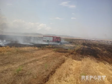Fire occurred at Khaltan cemetery of Shabran region