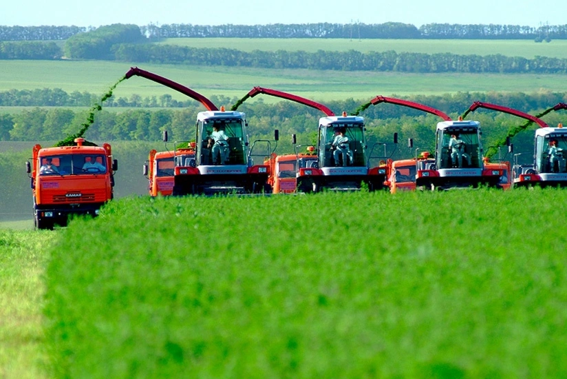 В Азербайджане в этом году на 5% увеличилось производство продукции сельского хозяйства