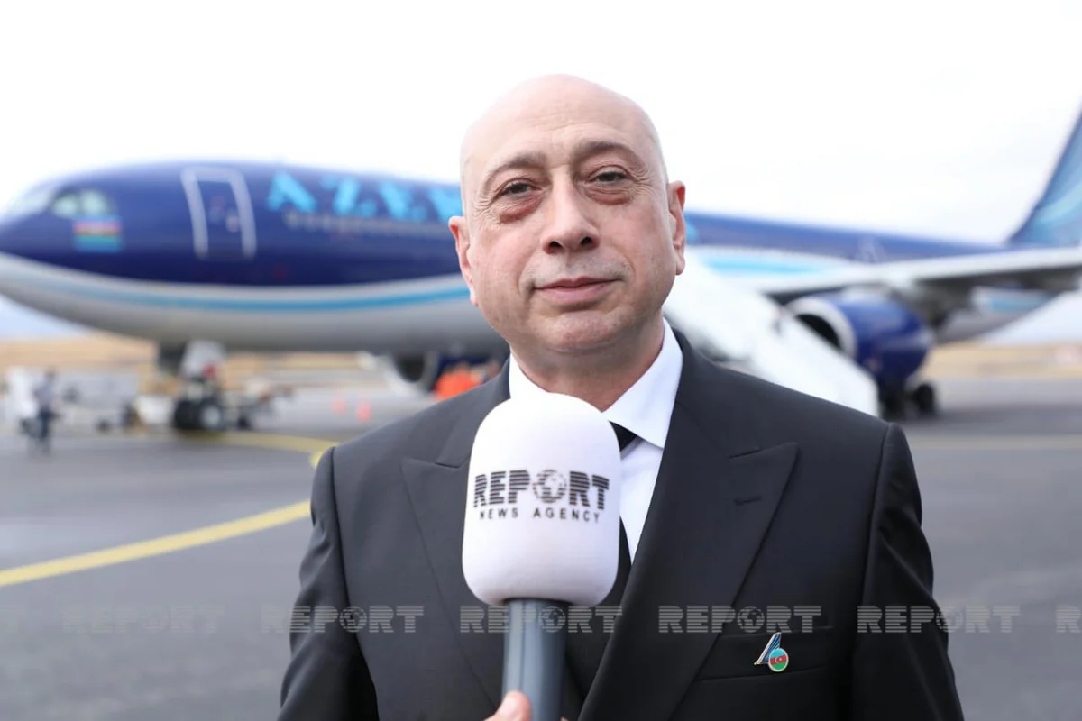 Вице-президент AZAL: В Восточном Зангезуре началось строительство двух аэропортов