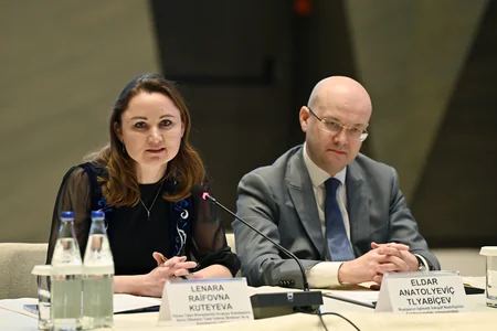 Azerbaijan, Tatarstan discuss developmental directions of economic partnership