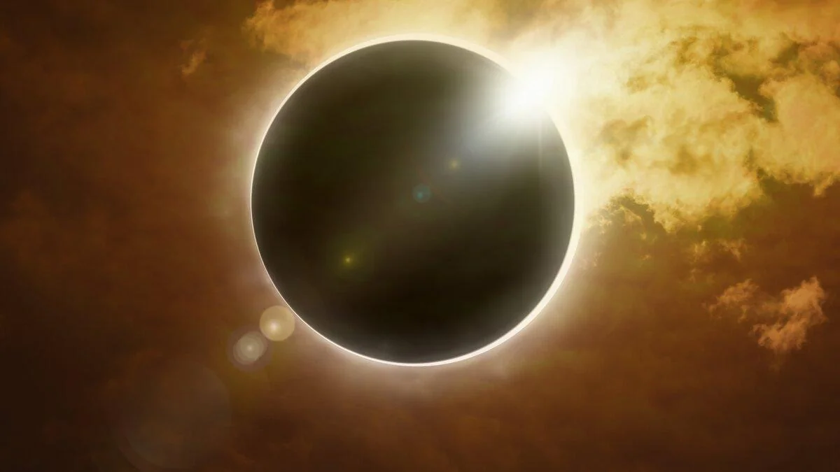 Solar eclipse could scramble bird behavior