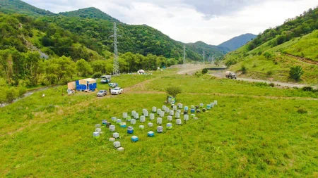 Qarabağdakı yaylaqlara 3 700 qoyunçuluq və arıçılıq təsərrüfatı köçürülüb