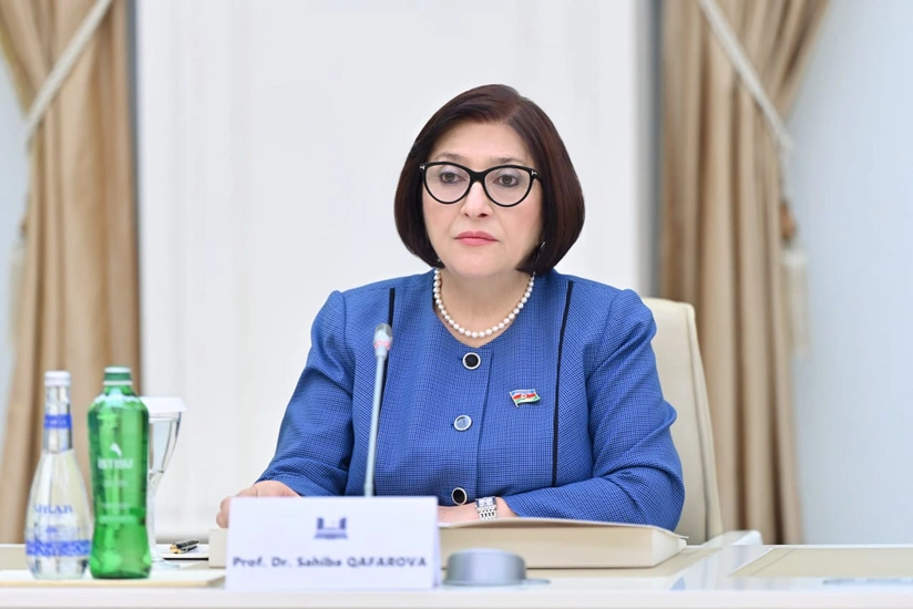 Speaker: Shusha Declaration gave impetus to expanding Azerbaijan-Türkiye relations