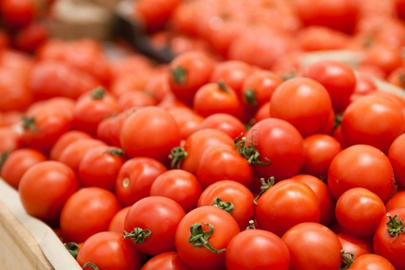 Azerbaijan's tomato export revenues down 26%