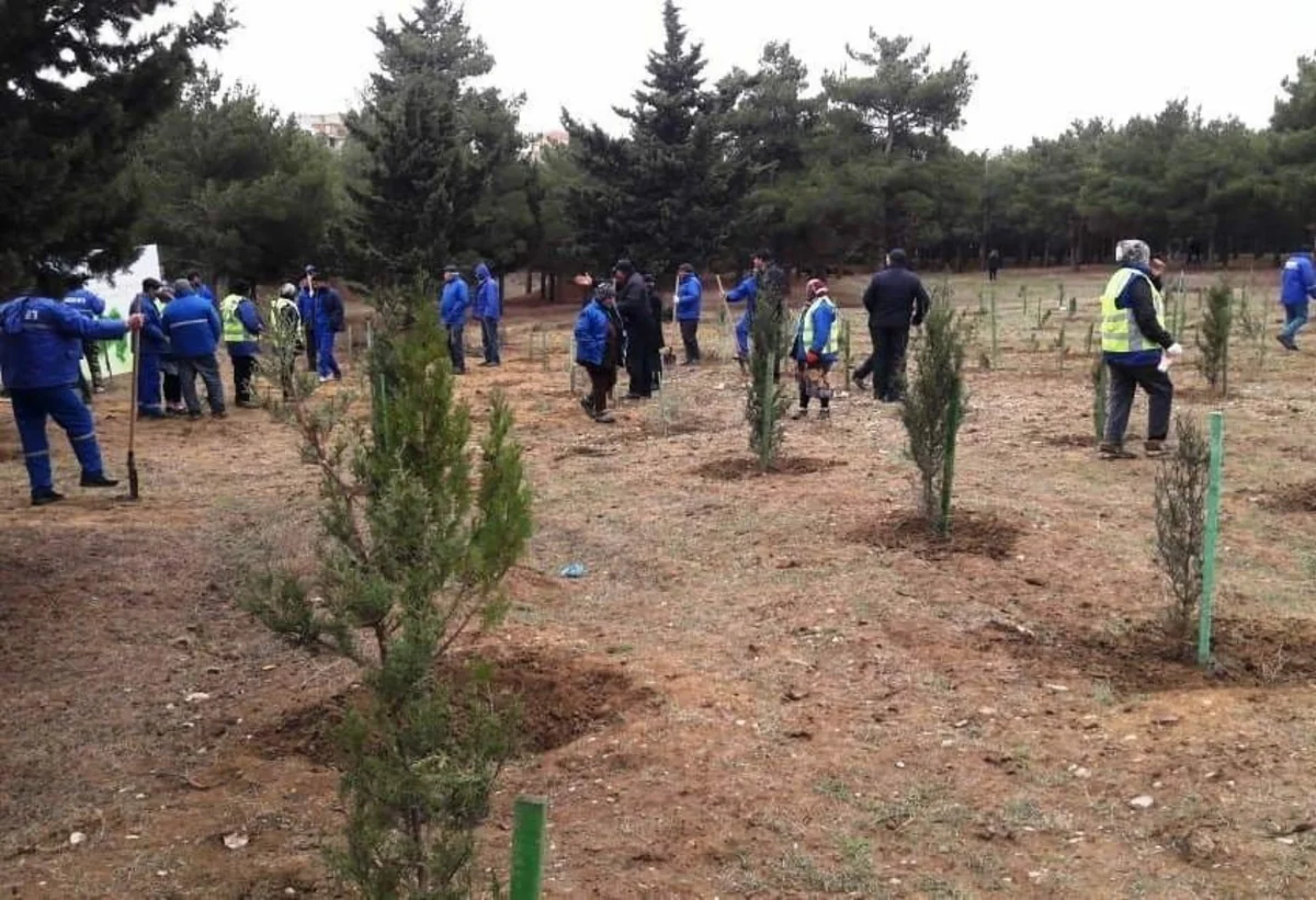 ETSN Ağdaşda ağacəkmə aksiyası keçirib
