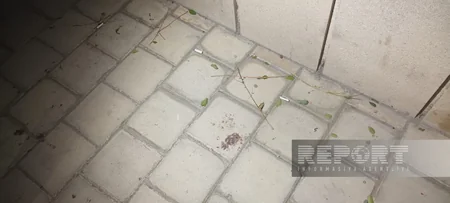 Bakıda 56 yaşlı şəxs qətlə yetirilib, keçmiş məhkum saxlanılıb, cinayət işi açılıb - YENİLƏNİB