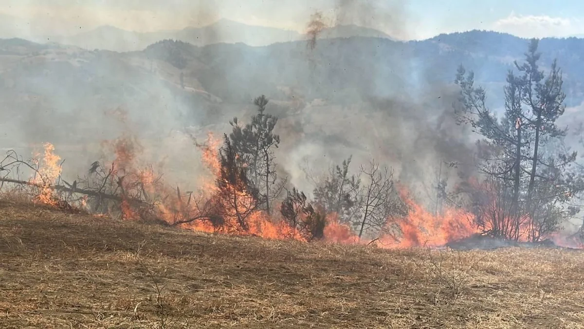 Forest fire breaks out in Kahramanmaras