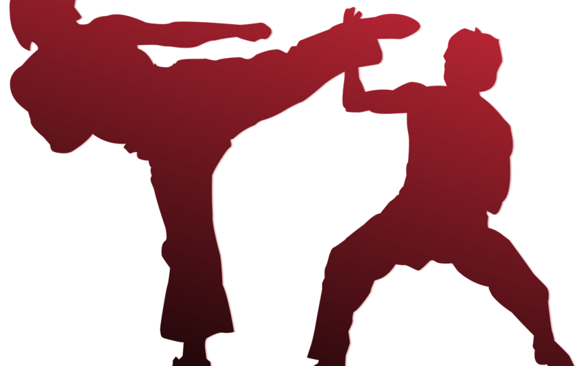 Vətən müharibəsi şəhidinin xatirəsinə həsr olunmuş karate turniri keçiriləcək