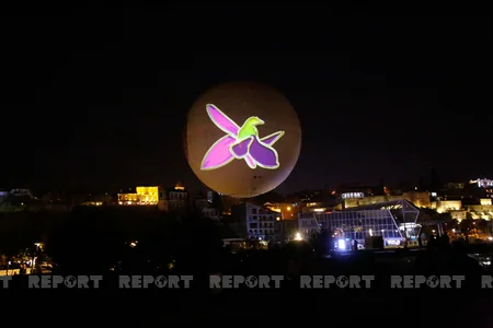 Tbilisidə Azərbaycanın Zəfər Günü aksiyalarla qeyd olunub