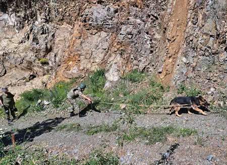 MN: Bu ay 640 hektaradək ərazi minalardan tam təmizlənib