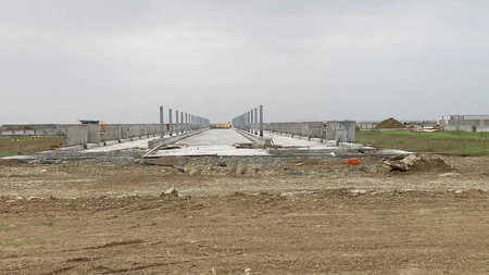 В Азербайджане при господдержке создается частный животноводческий комплекс