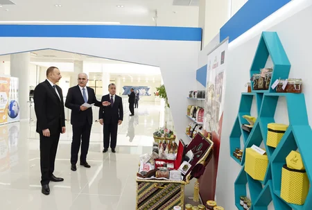 President Ilham Aliyev reviewed Aran Regional Development Center in Yevlakh