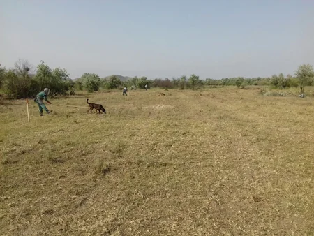 Cocuq Mərcanlıda piyada əleyhinə mina aşkar edilib
