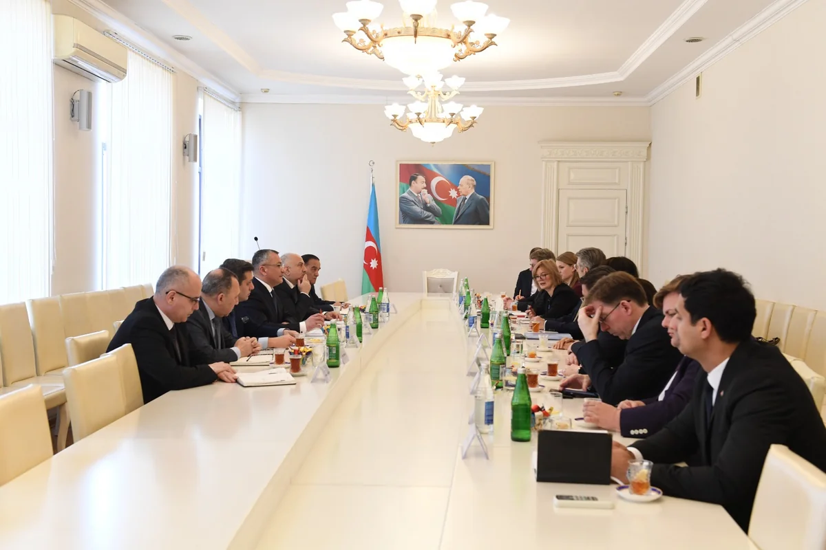 Almaniyalı deputatlar Böyük Qayıdışla bağlı məlumatlandırılıb