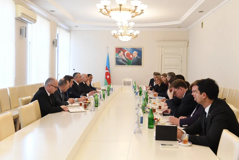 Almaniyalı deputatlar Böyük Qayıdışla bağlı məlumatlandırılıb