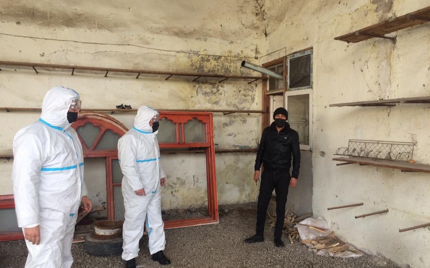 В Сабирабаде и Кюрдамире задержаны активные больные COVID-19