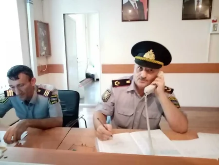 Ağcabədidə mal-qara oğurluğu ilə məşğul olan dəstə tutulub