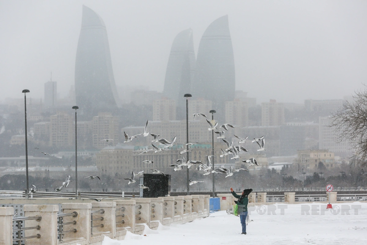 Weather forecast in Azerbaijan for February 20