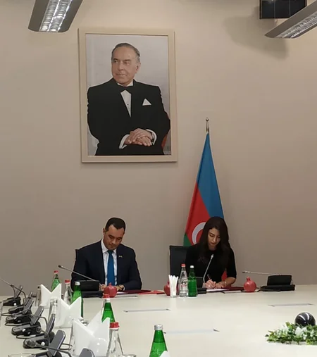 Dövlət Aqrar Ticarət Şirkəti ölkədə yetişdirilən narın satışına kömək edəcək