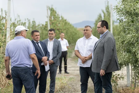 Məcnun Məmmədov Şabranda təsərrüfatlara baş çəkib, fermerlərlə görüşüb