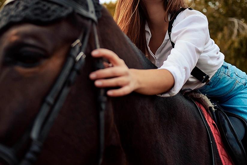 Bakı sakini Qaxda atdan yıxılaraq ağır xəsarət alıb