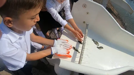 Tovuzda Kür çayına körpə balıqlar buraxılıb