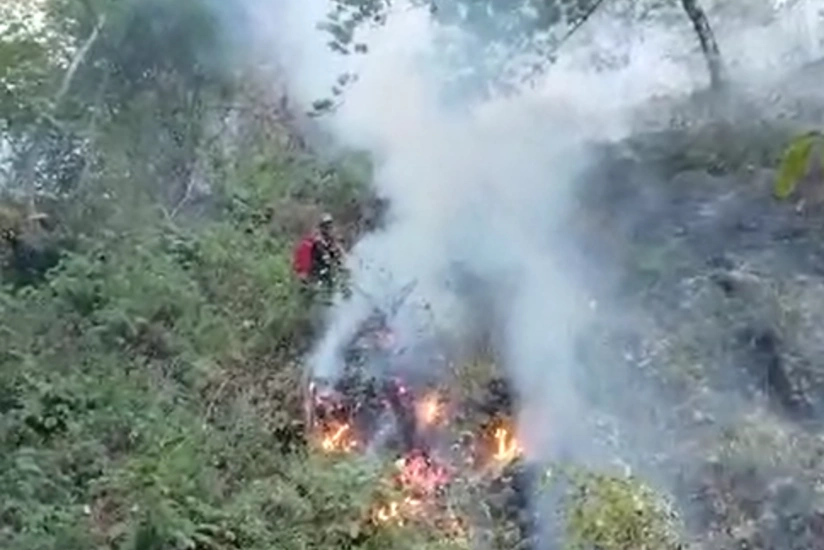 Work to extinguish wildfire in Azerbaijan's Masalli district continues