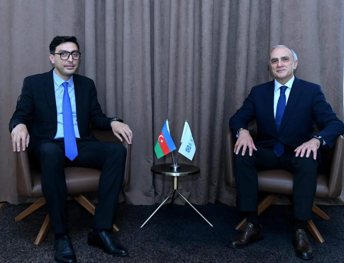 Gənclər və idman naziri GUAM-ın baş katibi ilə görüşüb