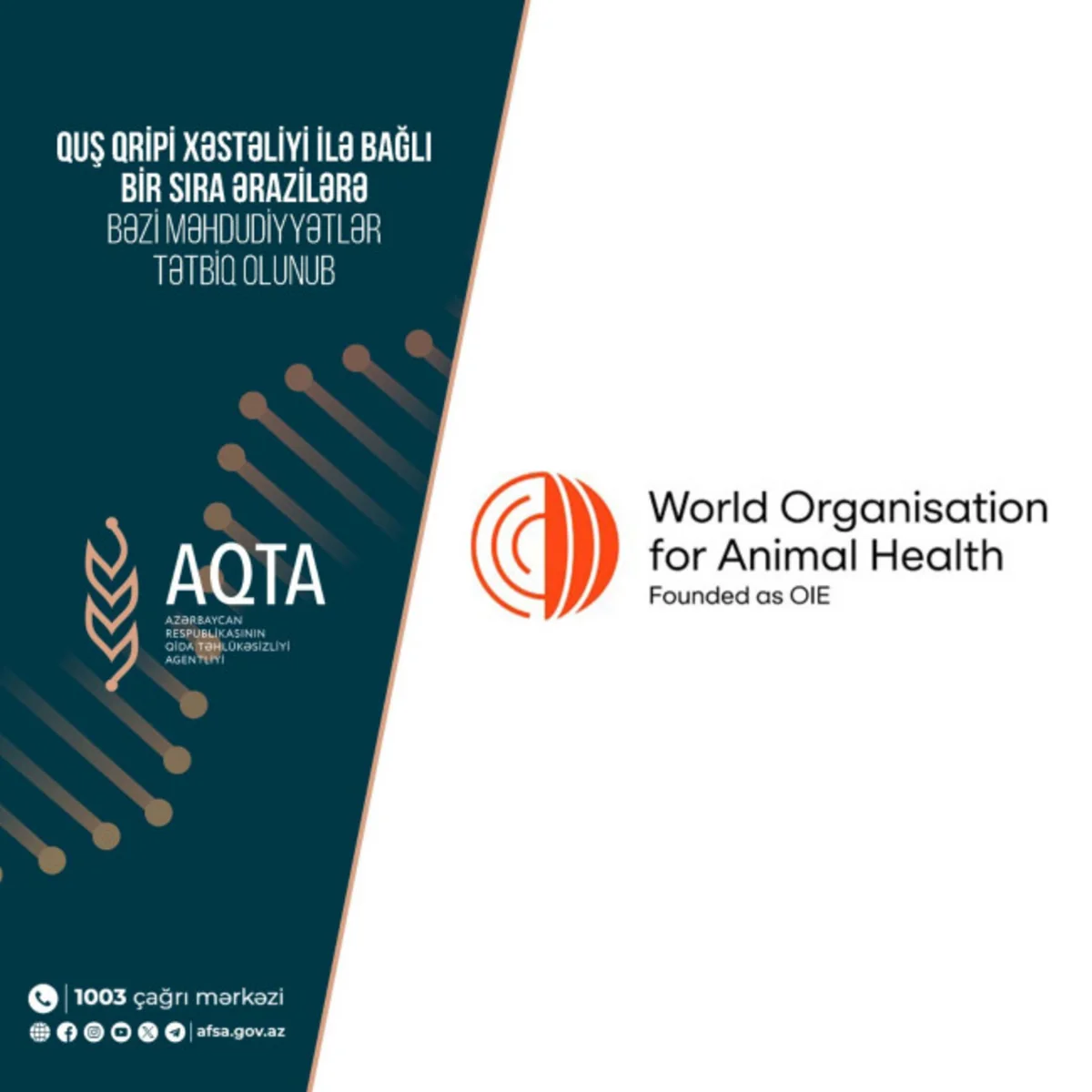 AQTA: Almaniya və ABŞ-dən gətirilən bəzi məhsullara məhdudiyyət qoyulub