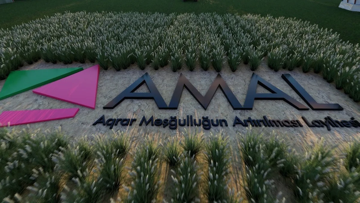 Bakıda AMAL-çılarla görüş keçirilib