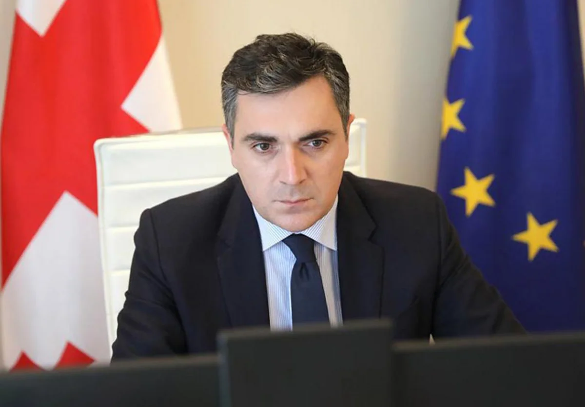 Глава МИД: Власти Грузии готовы обеспечить свободные выборы в 2024 году