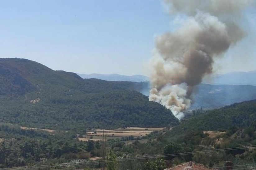 Three dead in forest fire in China