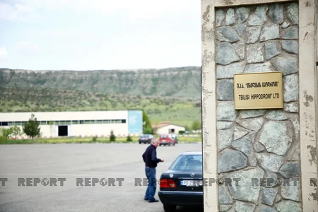 Karabakh horses and Georgia - RESEARCH