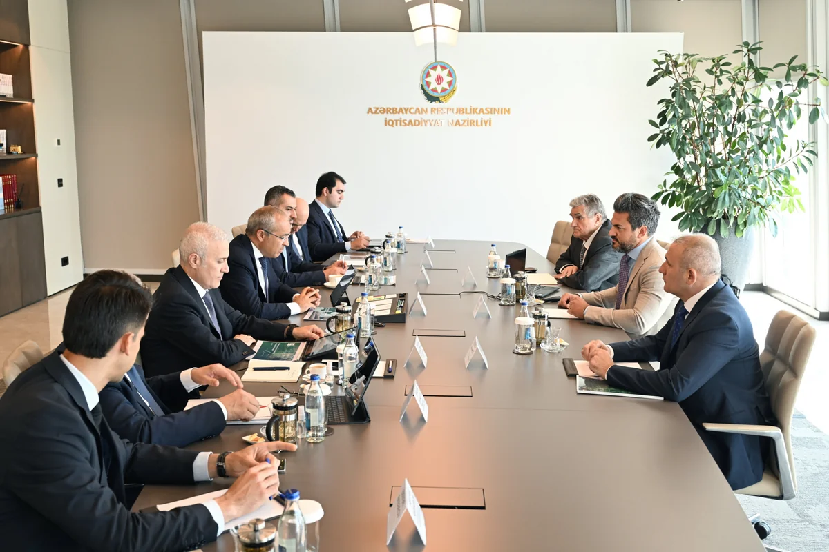 Azerbaijan and French company discuss cooperation in aluminum industry