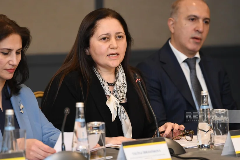 Айнур Софиева: Готовятся документы по совершенствованию правовой базы в отношении жестокого обращения с детьми