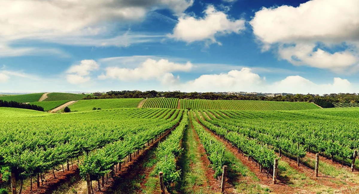 Aqrar sığorta informasiya sistemindən məlumat əldə etmək ödənişsiz olacaq