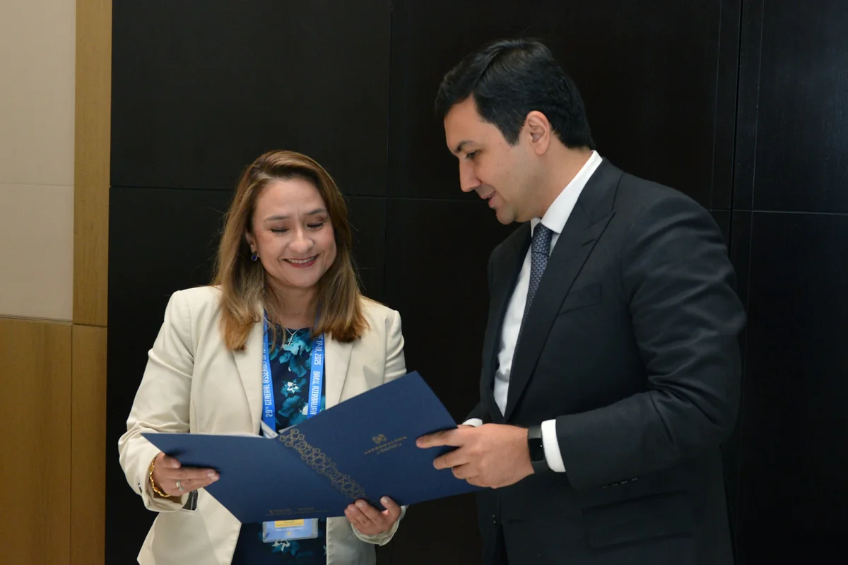 OECD-lə ƏDV inzibatçılığında rəqəmsal həllərin tətbiqi müzakirə olunub