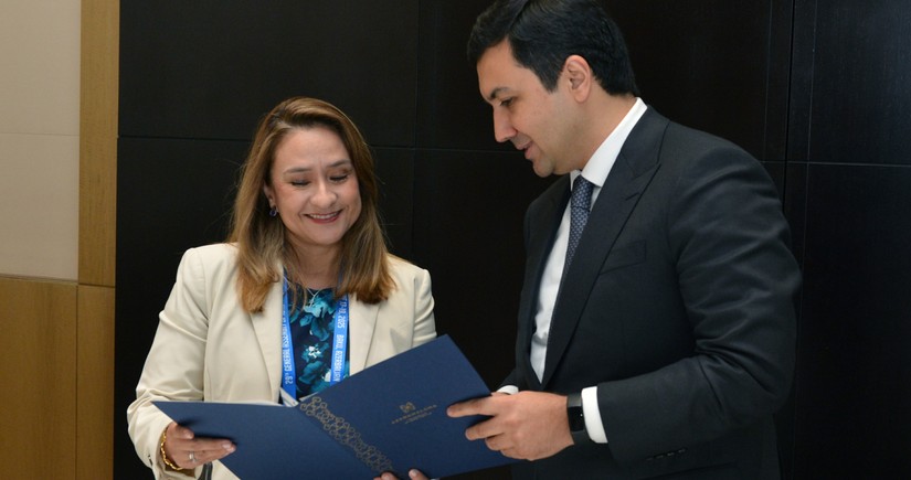 OECD-lə ƏDV inzibatçılığında rəqəmsal həllərin tətbiqi müzakirə olunub